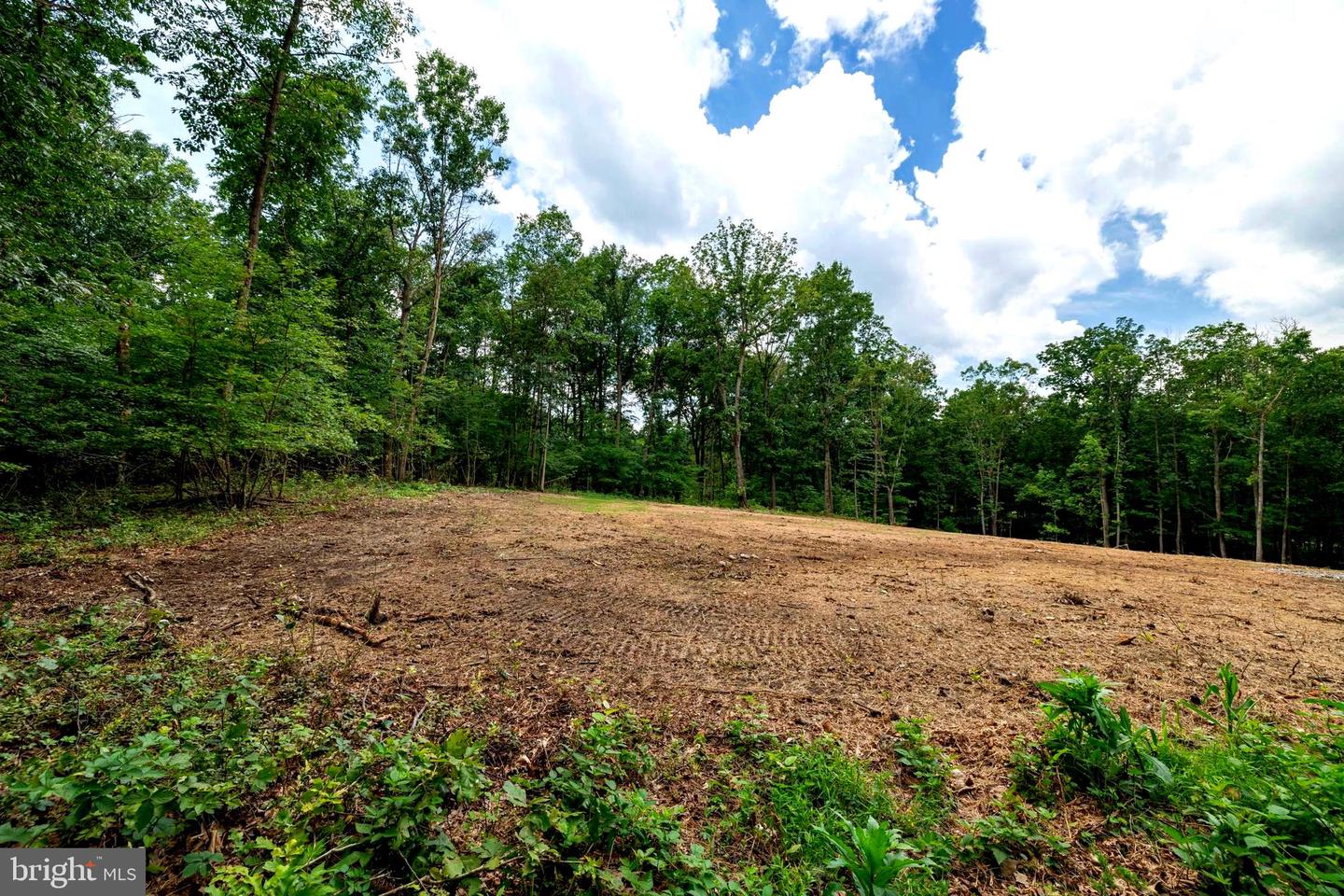 14 MONT VIEW LN, LURAY, Virginia 22835, ,Land,For sale,14 MONT VIEW LN,VAPA2005130 MLS # VAPA2005130
