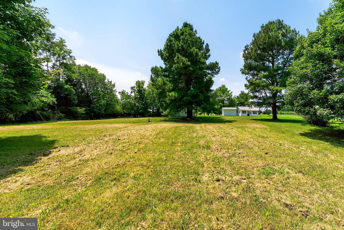 151 SHERANDO LN, STEPHENS CITY, Virginia 22655, ,Land,For sale,151 SHERANDO LN,VAFV2035690 MLS # VAFV2035690