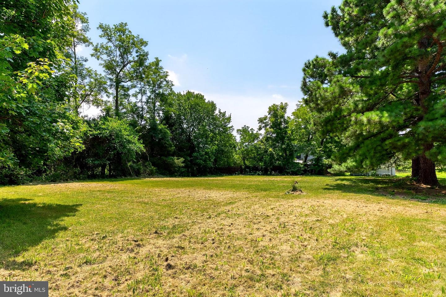 151 SHERANDO LN, STEPHENS CITY, Virginia 22655, ,Land,For sale,151 SHERANDO LN,VAFV2035690 MLS # VAFV2035690