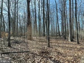 7120 DOMINIQUE DR, SPOTSYLVANIA, Virginia 22551, ,Land,For sale,7120 DOMINIQUE DR,VASP2034992 MLS # VASP2034992