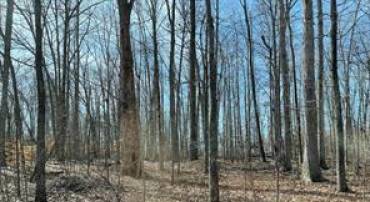 7120 DOMINIQUE DR, SPOTSYLVANIA, Virginia 22551, ,Land,For sale,7120 DOMINIQUE DR,VASP2034992 MLS # VASP2034992