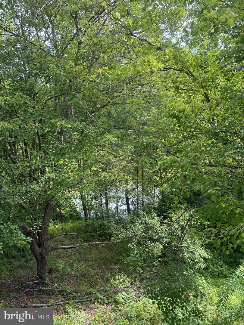 4851 EBB TIDE CT, DUMFRIES, Virginia 22025, 3 Bedrooms Bedrooms, ,3 BathroomsBathrooms,Residential,For sale,4851 EBB TIDE CT,VAPW2097252 MLS # VAPW2097252