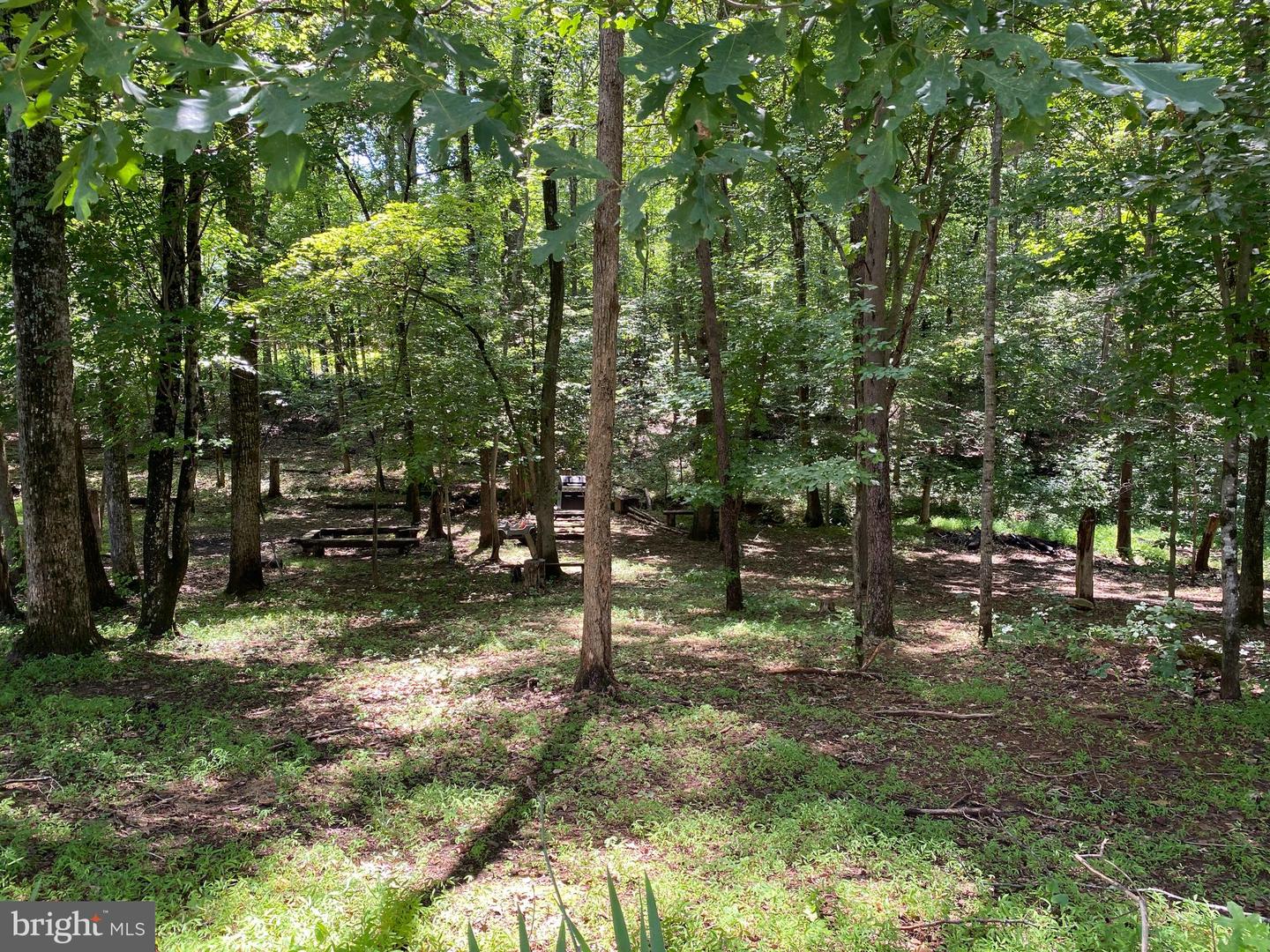 531 KELLOGG MILL RD, FREDERICKSBURG, Virginia 22406, 6 Bedrooms Bedrooms, ,4 BathroomsBathrooms,Residential,For sale,531 KELLOGG MILL RD,VAST2040812 MLS # VAST2040812