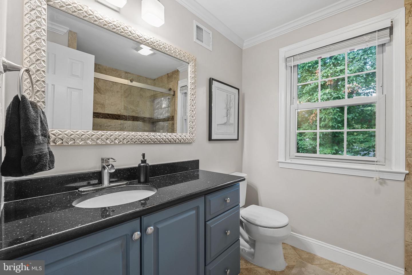 6362 WOODLAND RIDGE CT, CENTREVILLE, Virginia 20121, 4 Bedrooms Bedrooms, ,2 BathroomsBathrooms,Residential,For sale,6362 WOODLAND RIDGE CT,VAFX2256886 MLS # VAFX2256886