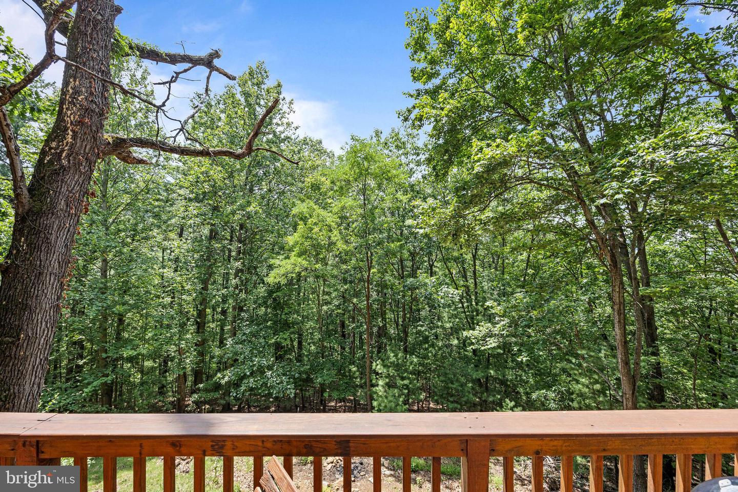 303 JORDAN HOLLOW RD, STANLEY, Virginia 22851, 2 Bedrooms Bedrooms, ,2 BathroomsBathrooms,Residential,For sale,303 JORDAN HOLLOW RD,VAPA2005164 MLS # VAPA2005164