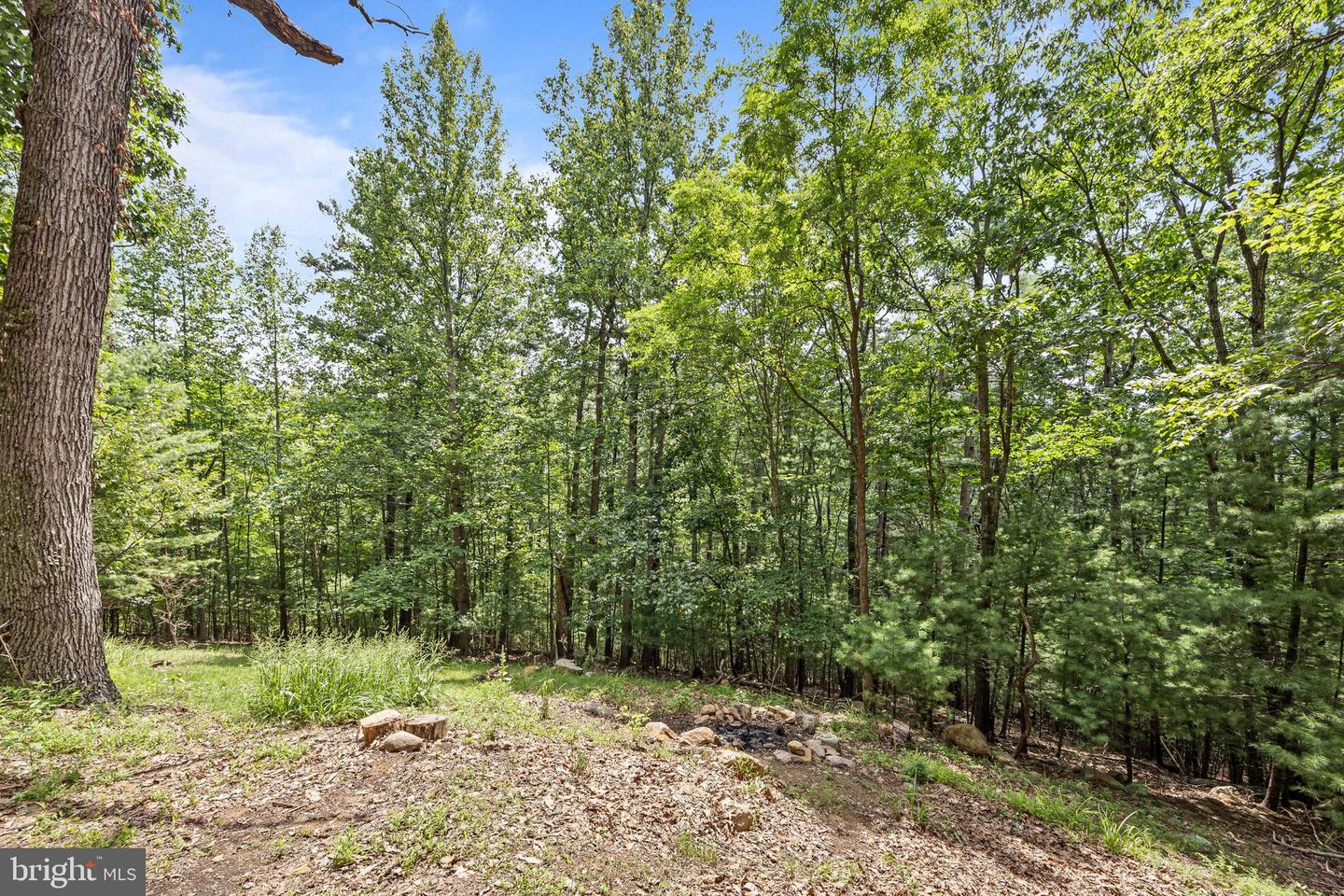303 JORDAN HOLLOW RD, STANLEY, Virginia 22851, 2 Bedrooms Bedrooms, ,2 BathroomsBathrooms,Residential,For sale,303 JORDAN HOLLOW RD,VAPA2005164 MLS # VAPA2005164