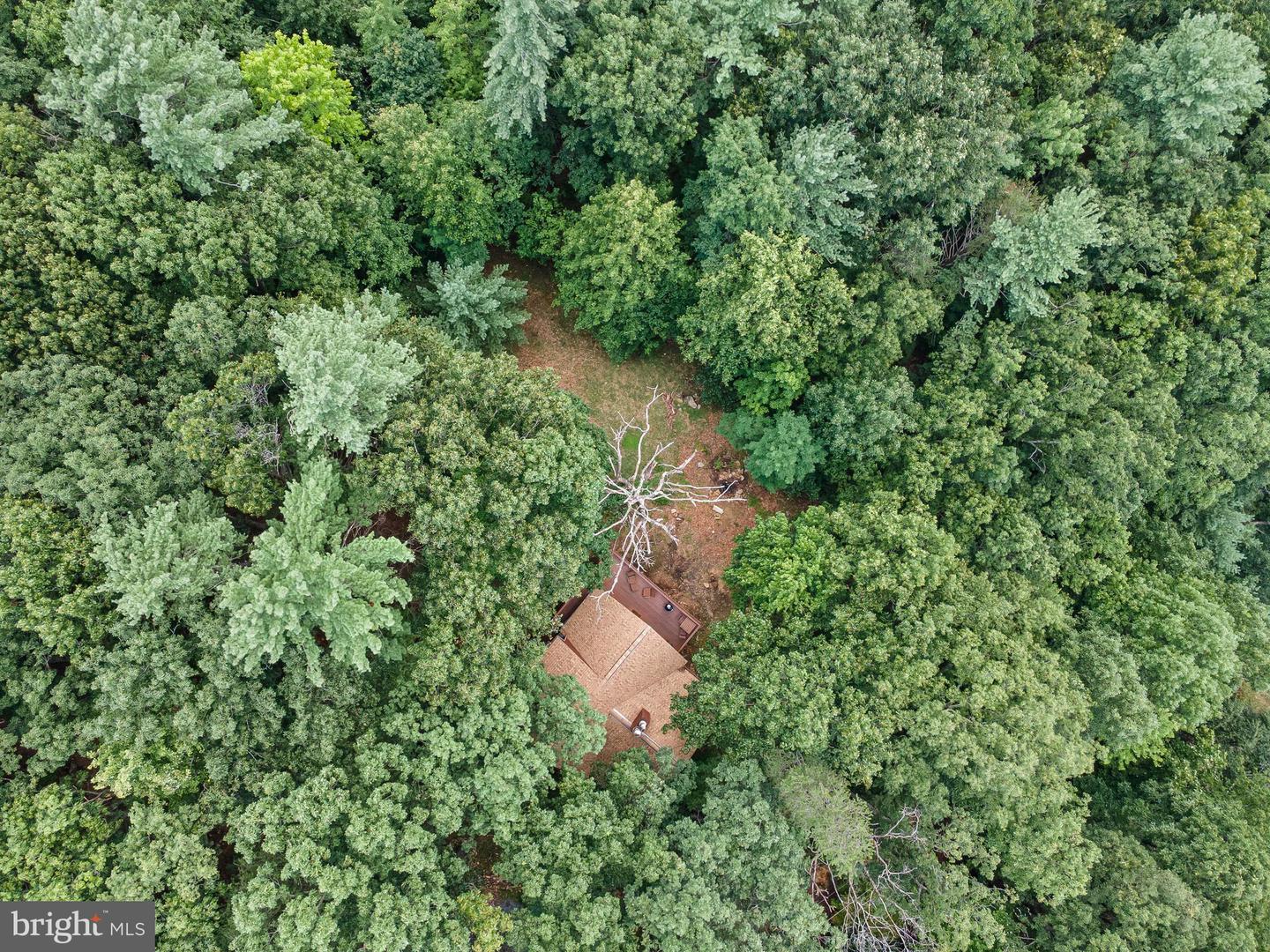 303 JORDAN HOLLOW RD, STANLEY, Virginia 22851, 2 Bedrooms Bedrooms, ,2 BathroomsBathrooms,Residential,For sale,303 JORDAN HOLLOW RD,VAPA2005164 MLS # VAPA2005164