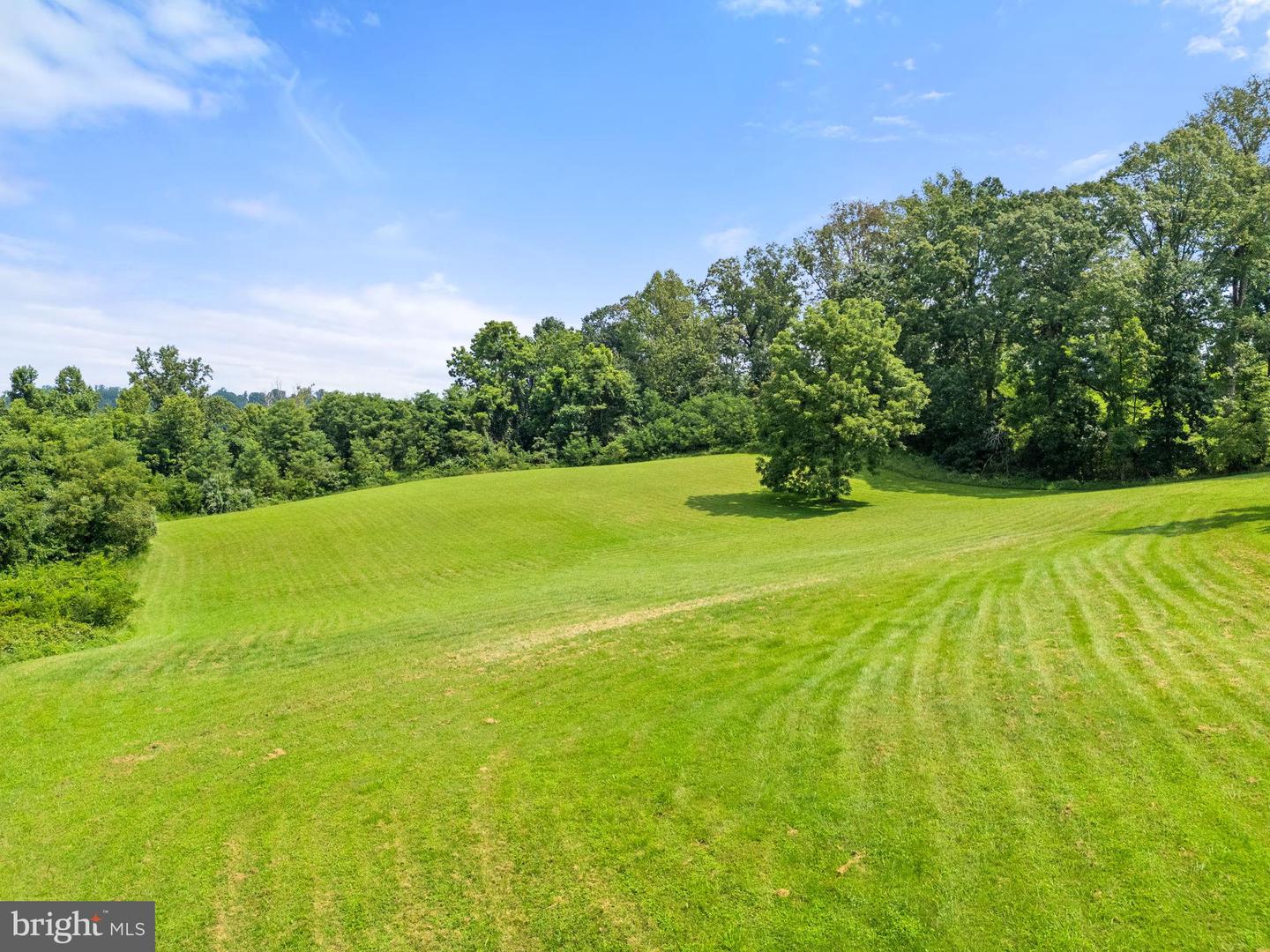 8385 JAMES MADISON HWY, WARRENTON, Virginia 20186, 4 Bedrooms Bedrooms, ,3 BathroomsBathrooms,Residential,For sale,8385 JAMES MADISON HWY,VAFQ2017630 MLS # VAFQ2017630