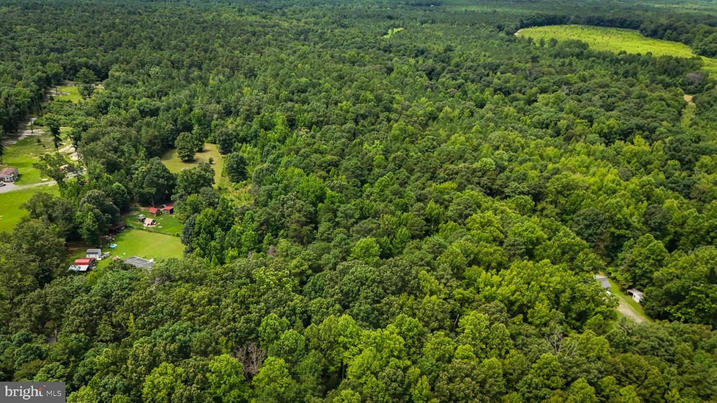 LOT 5 BULLCHURCH RD, WOODFORD, Virginia 22580, ,Land,For sale,LOT 5 BULLCHURCH RD,VACV2008526 MLS # VACV2008526