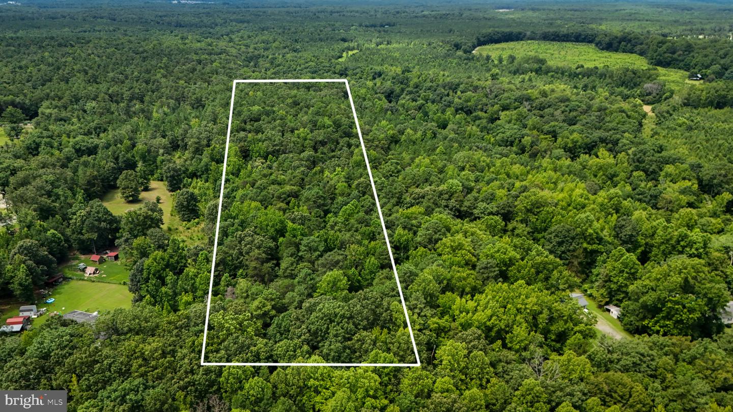 LOT 5 BULLCHURCH RD, WOODFORD, Virginia 22580, ,Land,For sale,LOT 5 BULLCHURCH RD,VACV2008526 MLS # VACV2008526