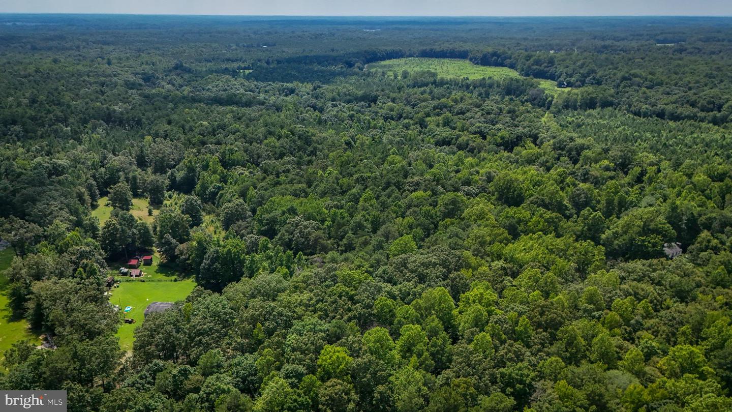 LOT 5 BULLCHURCH RD, WOODFORD, Virginia 22580, ,Land,For sale,LOT 5 BULLCHURCH RD,VACV2008526 MLS # VACV2008526
