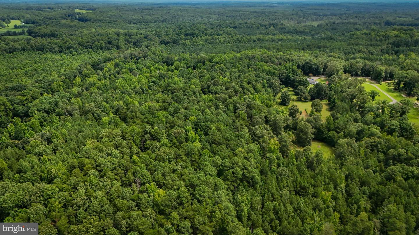 LOT 5 BULLCHURCH RD, WOODFORD, Virginia 22580, ,Land,For sale,LOT 5 BULLCHURCH RD,VACV2008526 MLS # VACV2008526