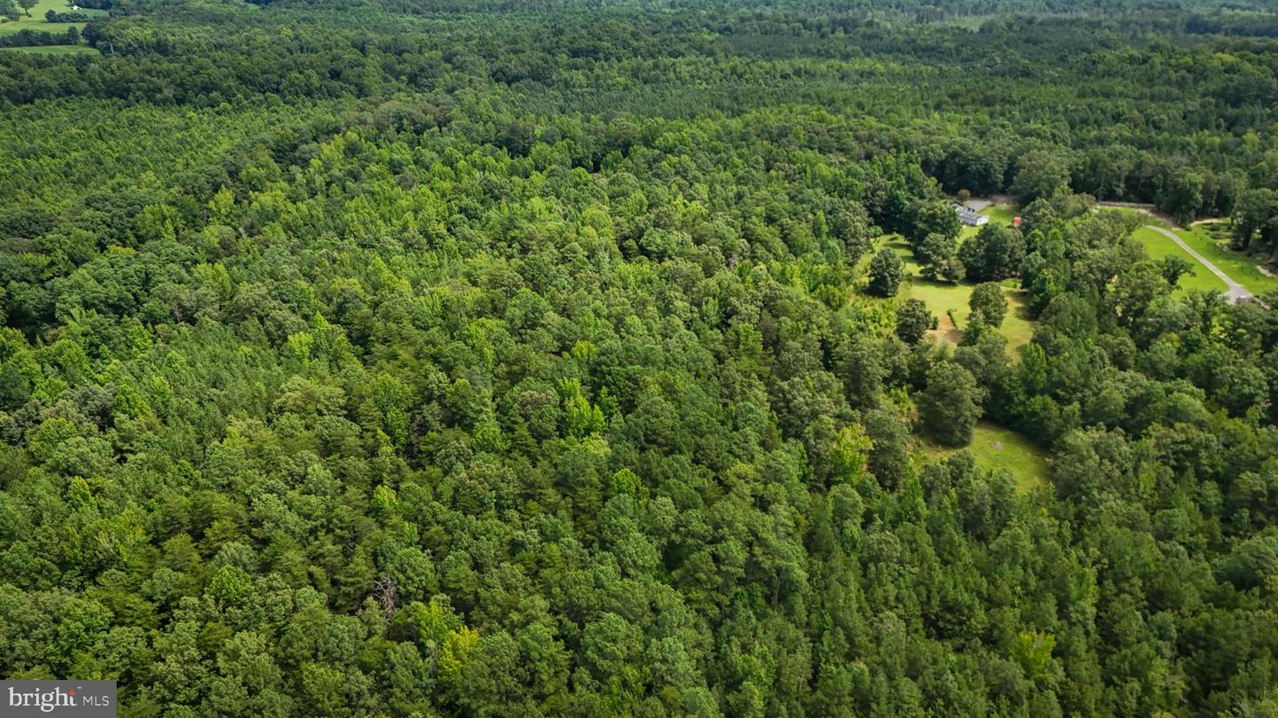LOT 5 BULLCHURCH RD, WOODFORD, Virginia 22580, ,Land,For sale,LOT 5 BULLCHURCH RD,VACV2008526 MLS # VACV2008526
