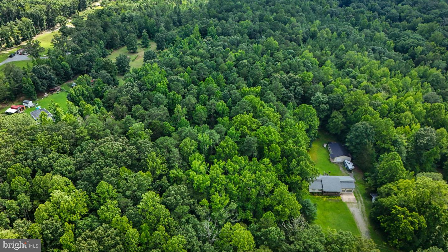 LOT 5 BULLCHURCH RD, WOODFORD, Virginia 22580, ,Land,For sale,LOT 5 BULLCHURCH RD,VACV2008526 MLS # VACV2008526