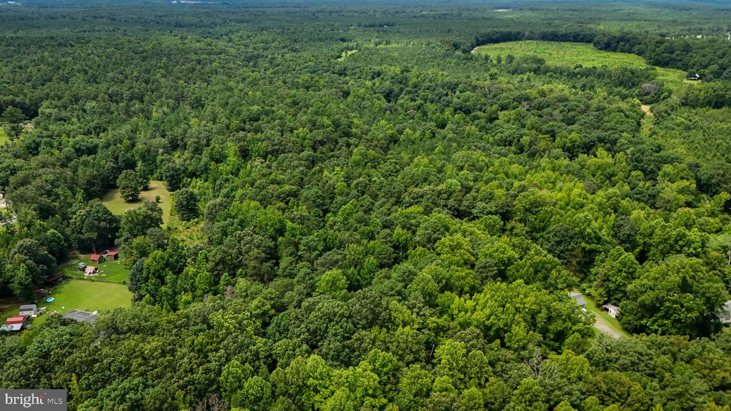 LOT 5 BULLCHURCH RD, WOODFORD, Virginia 22580, ,Land,For sale,LOT 5 BULLCHURCH RD,VACV2008526 MLS # VACV2008526