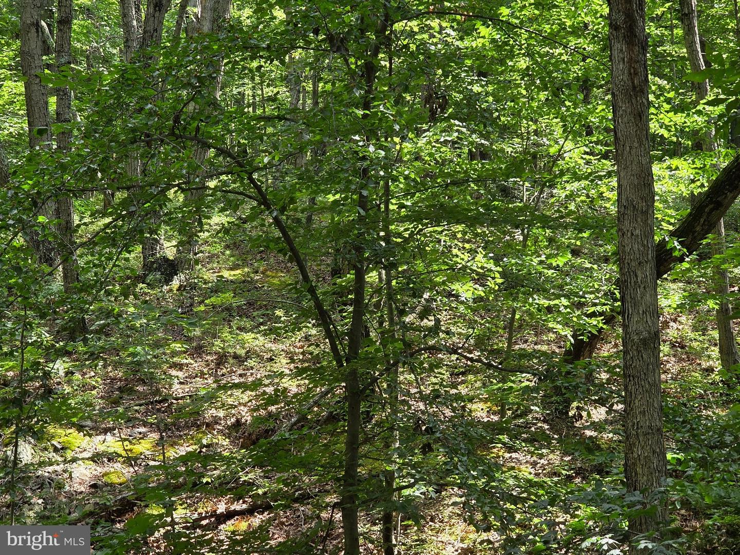 HILLANDALE RD LOT 31, FRONT ROYAL, Virginia 22630, ,Land,For sale,HILLANDALE RD LOT 31,VAWR2011782 MLS # VAWR2011782