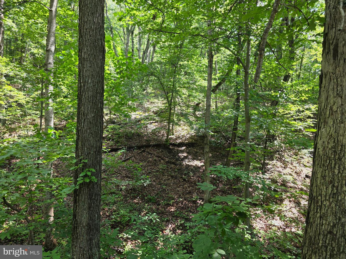 HILLANDALE RD LOT 31, FRONT ROYAL, Virginia 22630, ,Land,For sale,HILLANDALE RD LOT 31,VAWR2011782 MLS # VAWR2011782