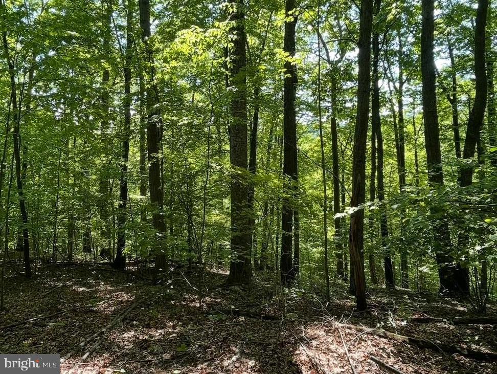 2-A FIERY RUN RD, LINDEN, Virginia 22642, ,Land,For sale,2-A FIERY RUN RD,VAFQ2017578 MLS # VAFQ2017578