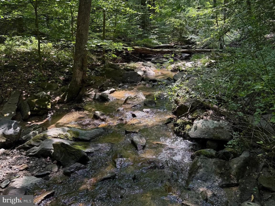 2-A FIERY RUN RD, LINDEN, Virginia 22642, ,Land,For sale,2-A FIERY RUN RD,VAFQ2017578 MLS # VAFQ2017578