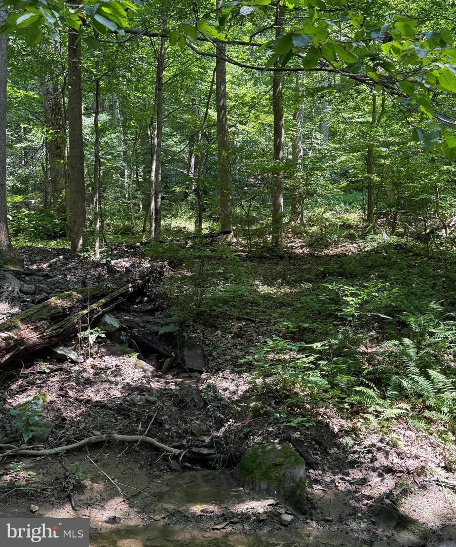 2-A FIERY RUN RD, LINDEN, Virginia 22642, ,Land,For sale,2-A FIERY RUN RD,VAFQ2017578 MLS # VAFQ2017578