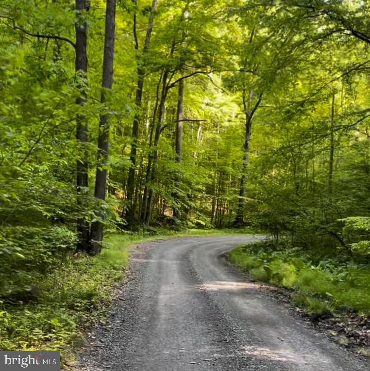 3-A HARDSCRABBLE RD, LINDEN, Virginia 22642, ,Land,For sale,3-A HARDSCRABBLE RD,VAFQ2017582 MLS # VAFQ2017582