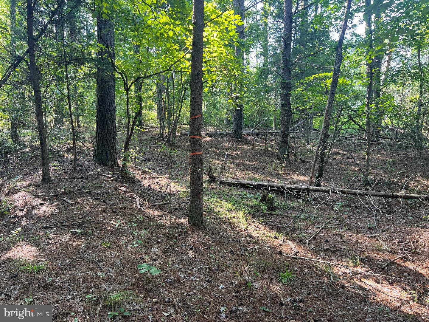 LAKE FOREST DRIVE, MINERAL, Virginia 23117, ,Land,For sale,LAKE FOREST DRIVE,VALA2008320 MLS # VALA2008320