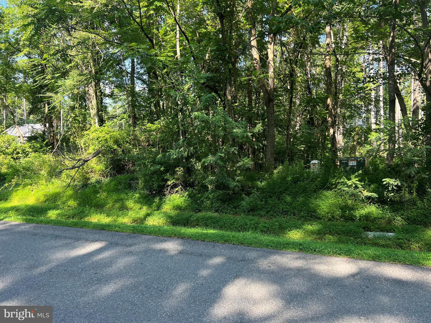 LAKE FOREST DRIVE, MINERAL, Virginia 23117, ,Land,For sale,LAKE FOREST DRIVE,VALA2008320 MLS # VALA2008320