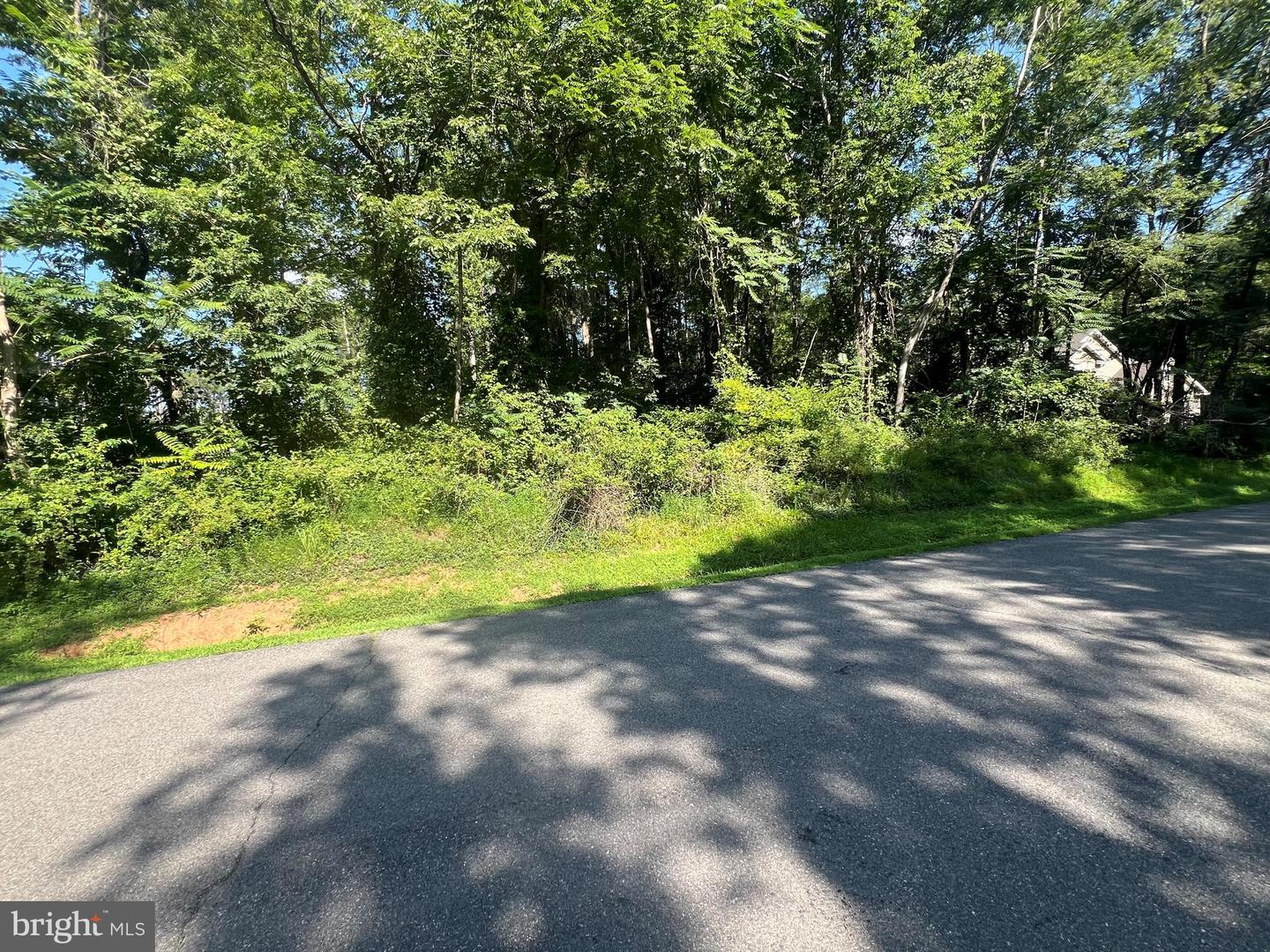 LAKE FOREST DRIVE, MINERAL, Virginia 23117, ,Land,For sale,LAKE FOREST DRIVE,VALA2008320 MLS # VALA2008320