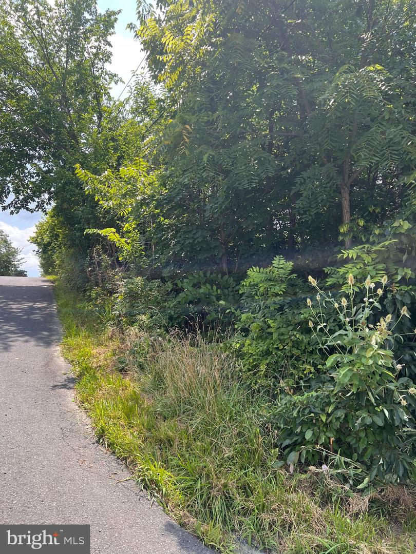 BEACON/SUNSET, STRASBURG, Virginia 22657, ,Land,For sale,BEACON/SUNSET,VASH2012084 MLS # VASH2012084