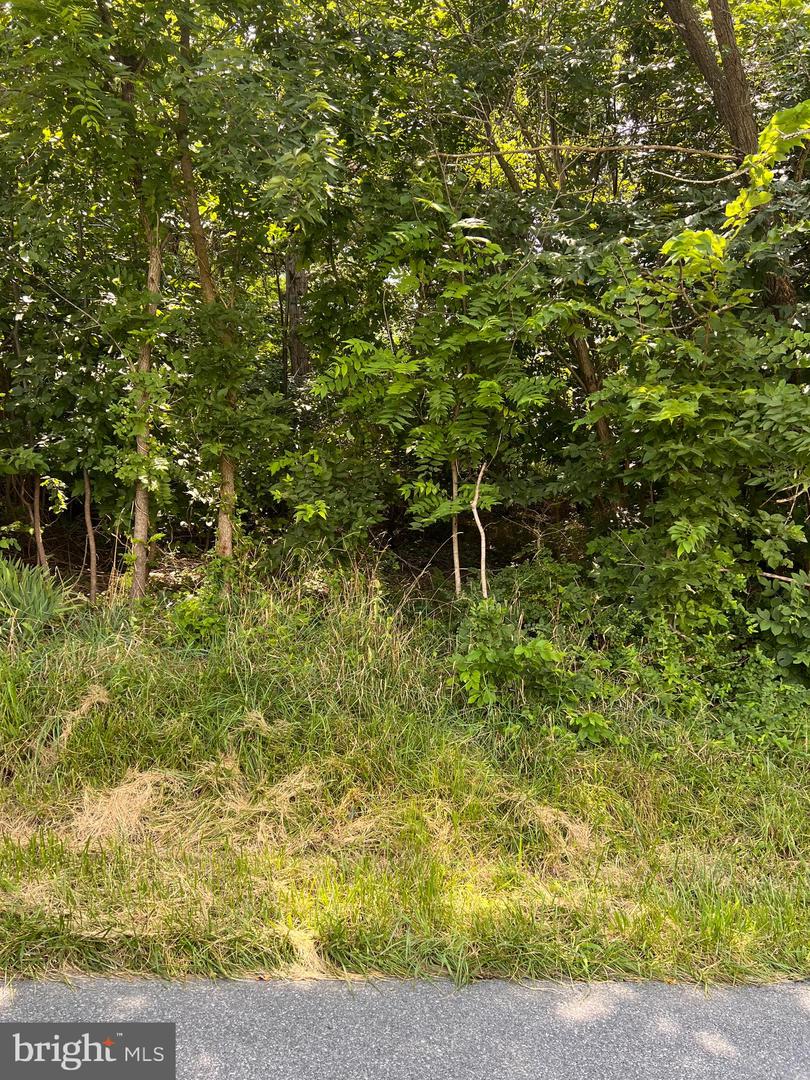 BEACON/SUNSET, STRASBURG, Virginia 22657, ,Land,For sale,BEACON/SUNSET,VASH2012084 MLS # VASH2012084
