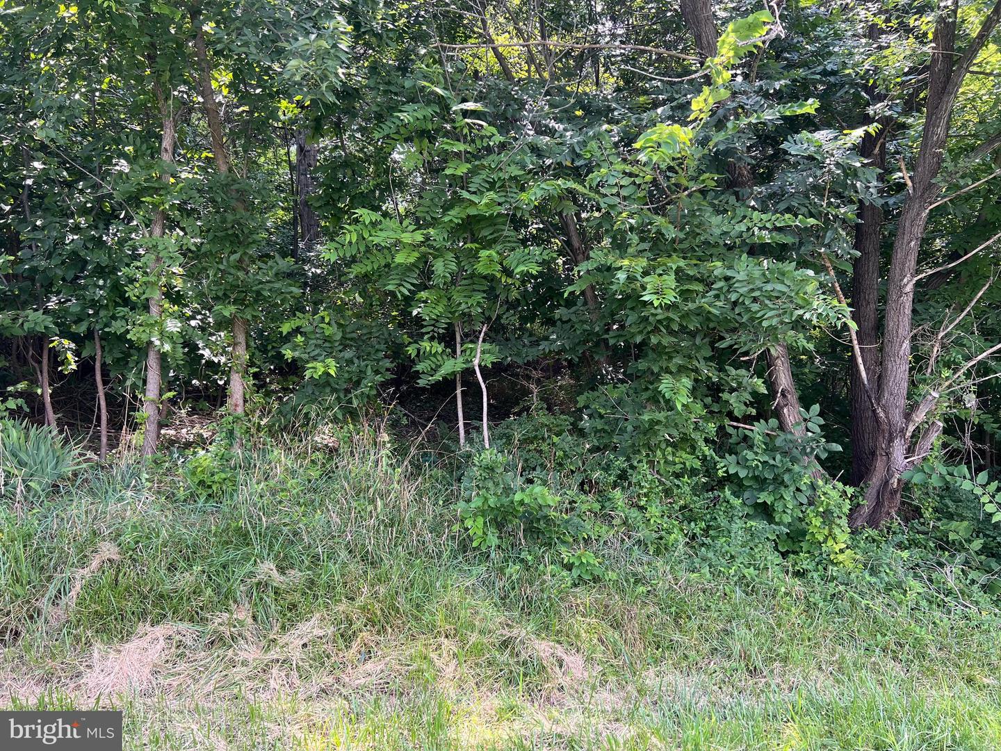 BEACON/SUNSET, STRASBURG, Virginia 22657, ,Land,For sale,BEACON/SUNSET,VASH2012084 MLS # VASH2012084
