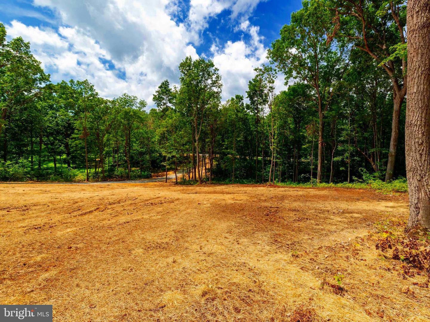 15 MONT VIEW LN, LURAY, Virginia 22835, ,Land,For sale,15 MONT VIEW LN,VAPA2005194 MLS # VAPA2005194