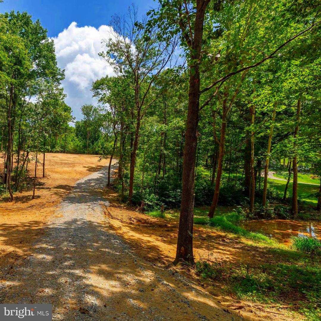 15 MONT VIEW LN, LURAY, Virginia 22835, ,Land,For sale,15 MONT VIEW LN,VAPA2005194 MLS # VAPA2005194