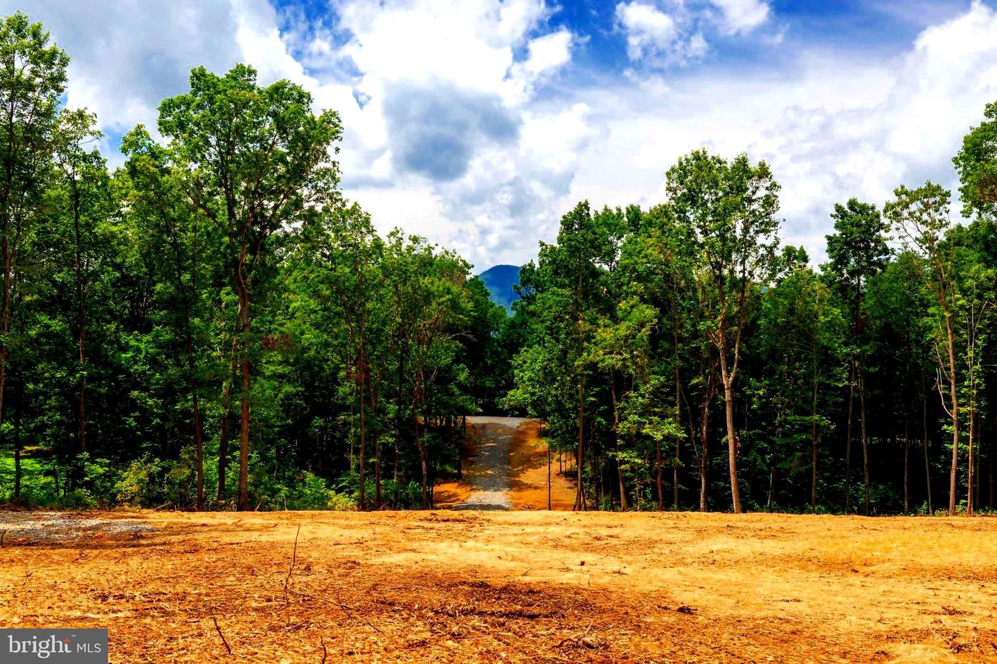15 MONT VIEW LN, LURAY, Virginia 22835, ,Land,For sale,15 MONT VIEW LN,VAPA2005194 MLS # VAPA2005194