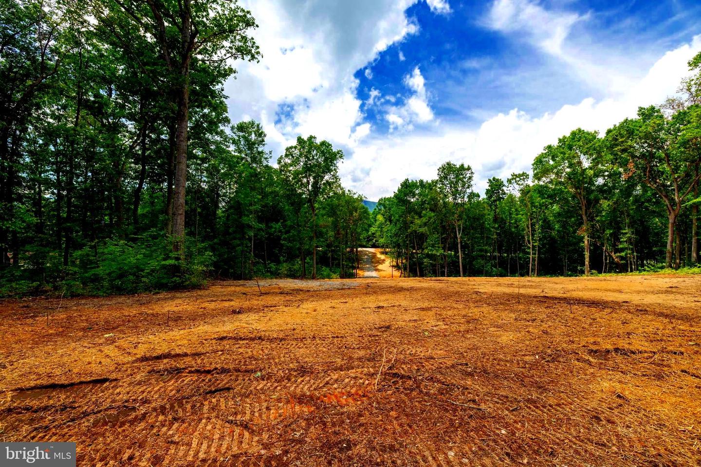 15 MONT VIEW LN, LURAY, Virginia 22835, ,Land,For sale,15 MONT VIEW LN,VAPA2005194 MLS # VAPA2005194