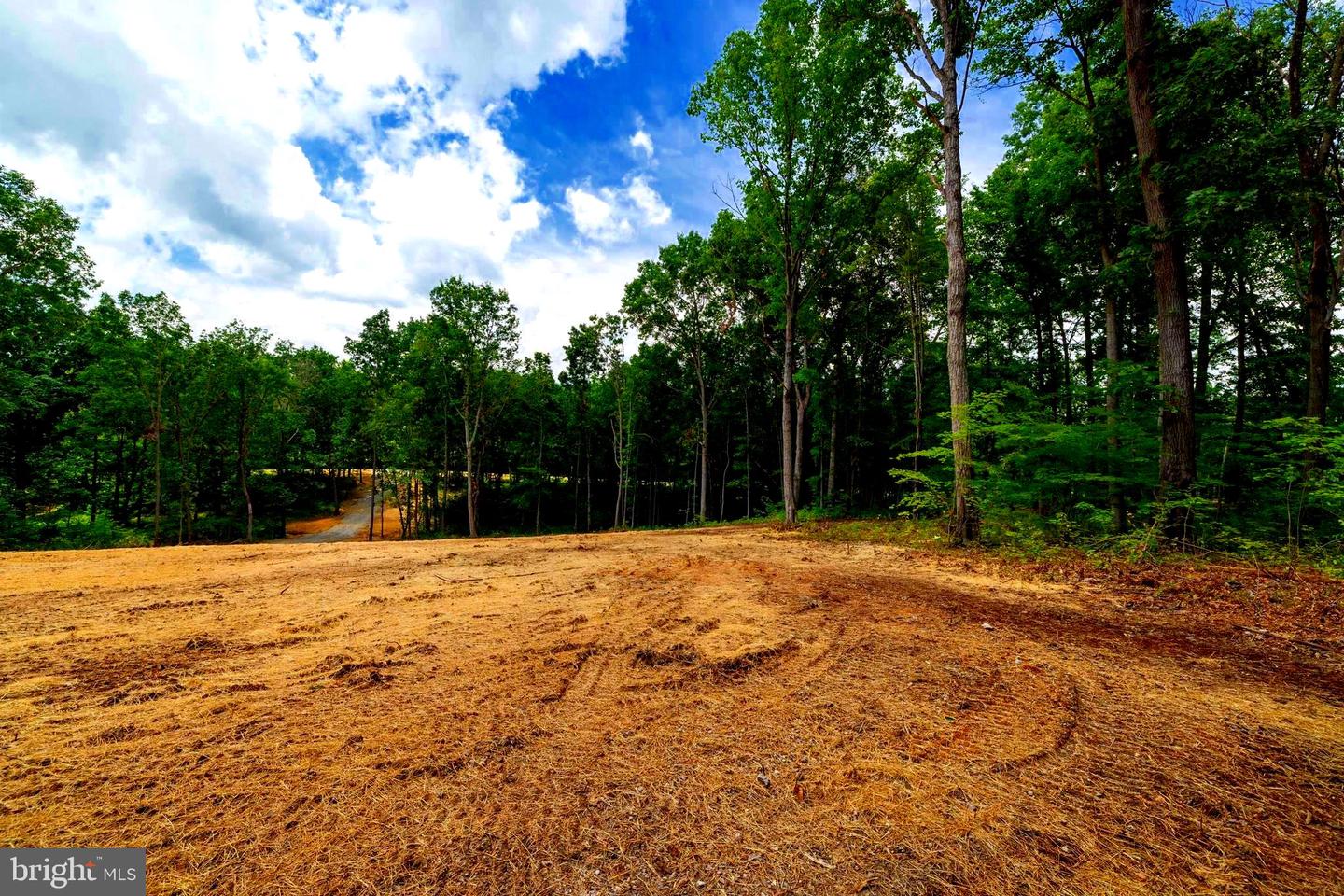15 MONT VIEW LN, LURAY, Virginia 22835, ,Land,For sale,15 MONT VIEW LN,VAPA2005194 MLS # VAPA2005194