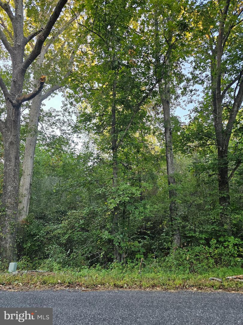LOT 52 LOWE DR, HAGUE, Virginia 22469, ,Land,For sale,LOT 52 LOWE DR,VAWE2009394 MLS # VAWE2009394 LOT 52 LOWE DR, HAGUE, Virginia 22469, ,Land,For sale,LOT 52 LOWE DR,VAWE2009394 MLS # VAWE2009394