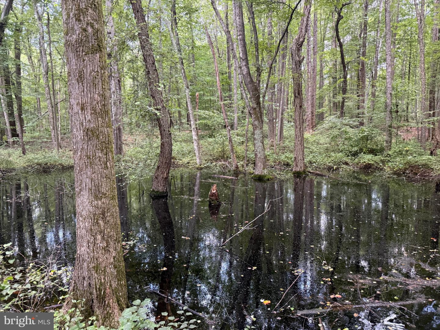 TBD GLADE RD, SHIPMAN, Virginia 22971, ,Land,For sale,TBD GLADE RD,VANL2000578 MLS # VANL2000578