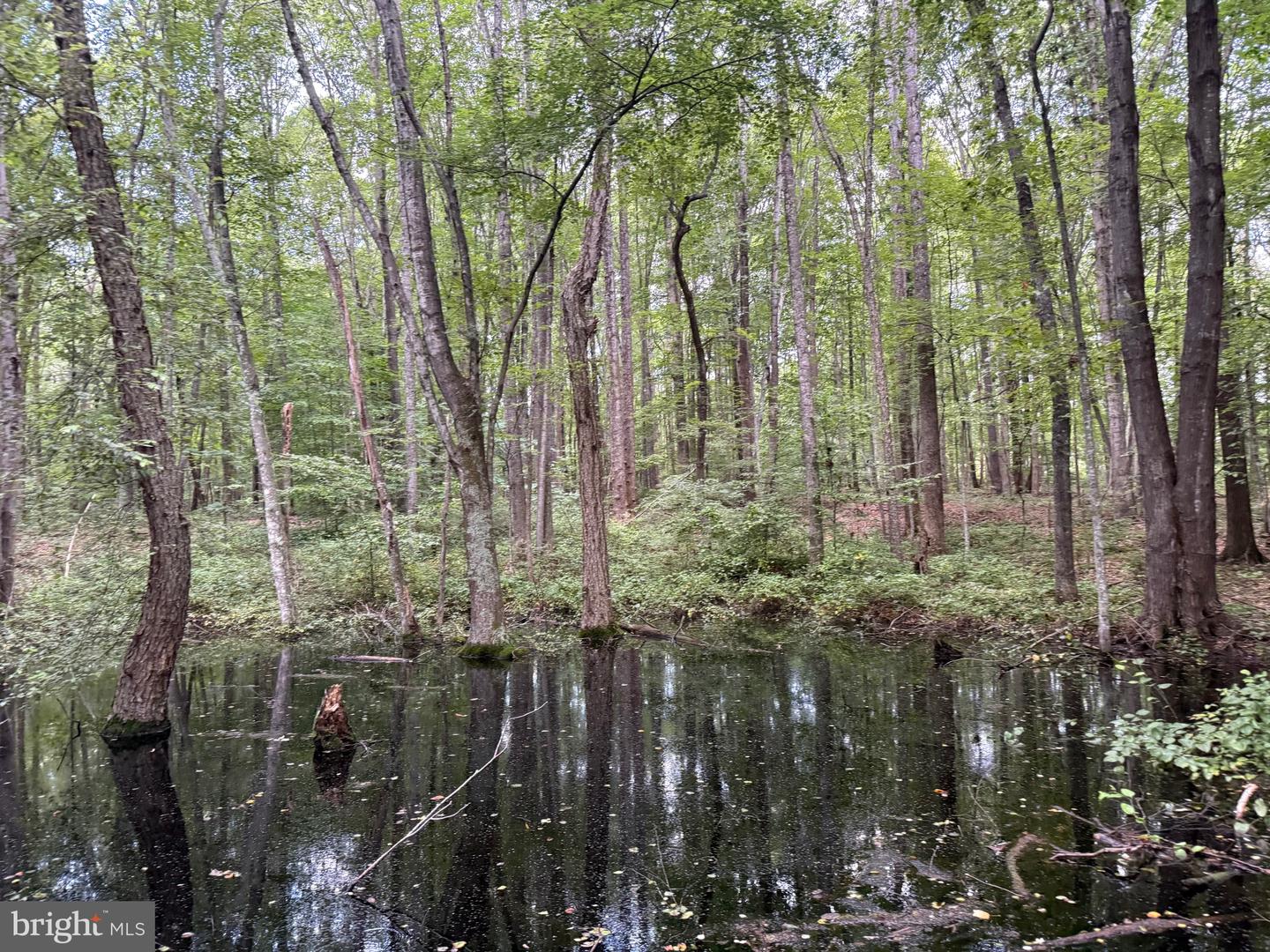 TBD GLADE RD, SHIPMAN, Virginia 22971, ,Land,For sale,TBD GLADE RD,VANL2000578 MLS # VANL2000578