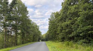 TBD GLADE RD, SHIPMAN, Virginia 22971, ,Land,For sale,TBD GLADE RD,VANL2000578 MLS # VANL2000578