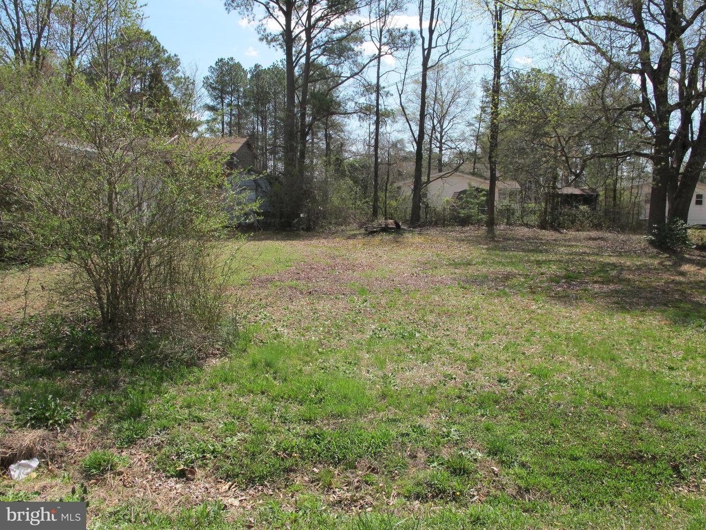 LOTS 32, 33, 34, & 35 MCKINNEY BOULEVARD, COLONIAL BEACH, Virginia 22443, ,Land,For sale,LOTS 32, 33, 34, & 35 MCKINNEY BOULEVARD,VAWE2009398 MLS # VAWE2009398