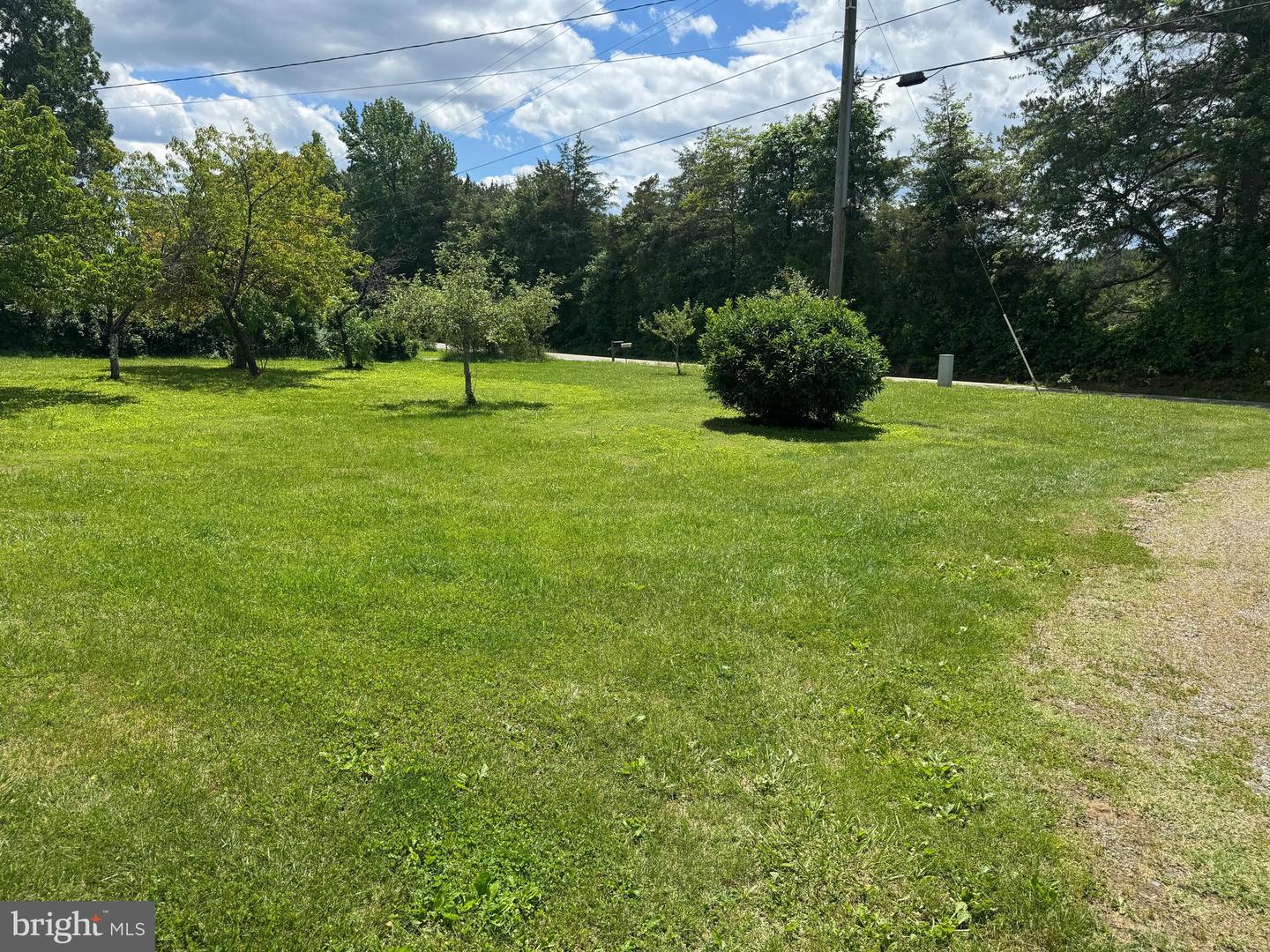 3490 WILLOW BROOK RD, BUMPASS, Virginia 23024, ,Land,For sale,3490 WILLOW BROOK RD,VALA2008346 MLS # VALA2008346