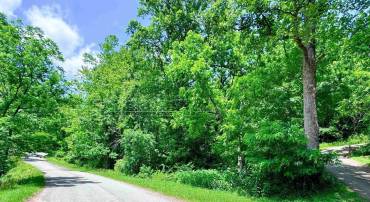 POUNDING BRANCH RD, AFTON, Virginia 22920, ,Land,For sale,POUNDING BRANCH RD,667212 MLS # 667212