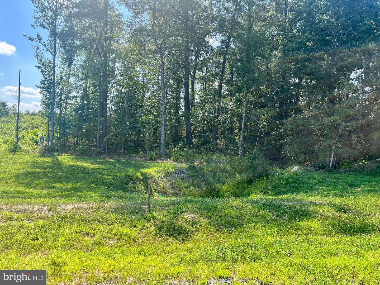 LOT 33 BUCKNERS LANE, MINERAL, Virginia 23117, ,Land,For sale,LOT 33 BUCKNERS LANE,VALA2008352 MLS # VALA2008352