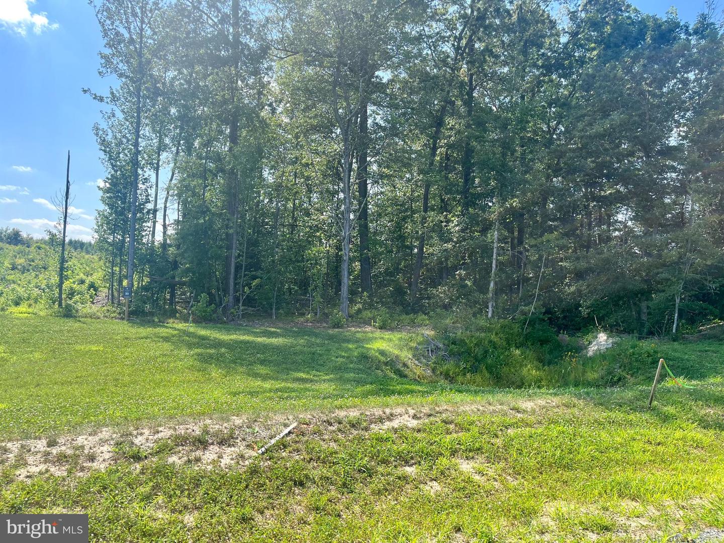 LOT 33 BUCKNERS LANE, MINERAL, Virginia 23117, ,Land,For sale,LOT 33 BUCKNERS LANE,VALA2008352 MLS # VALA2008352