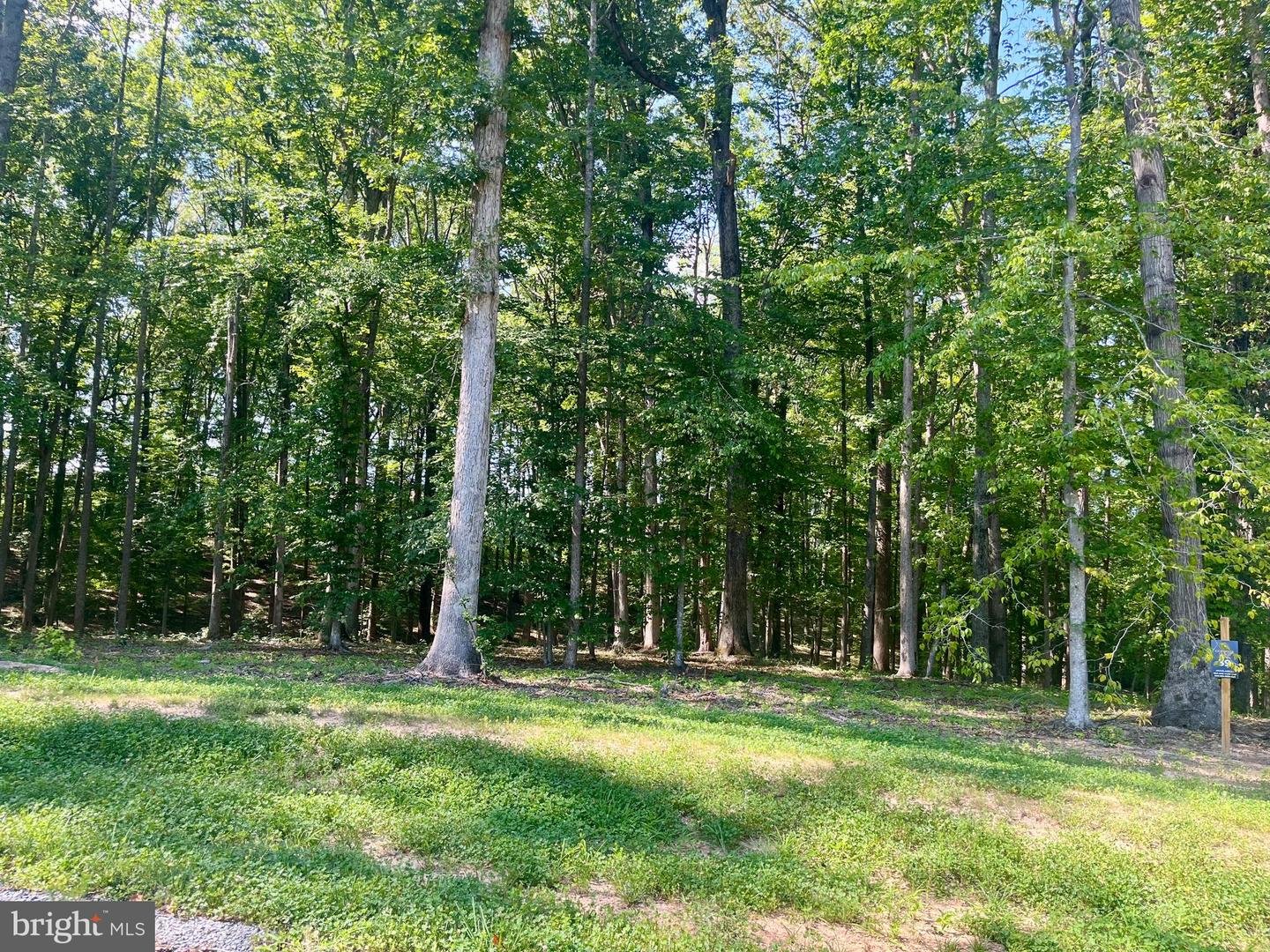 LOT 39 SOUTHERN RIDGE, MINERAL, Virginia 23117, ,Land,For sale,LOT 39 SOUTHERN RIDGE,VALA2008354 MLS # VALA2008354