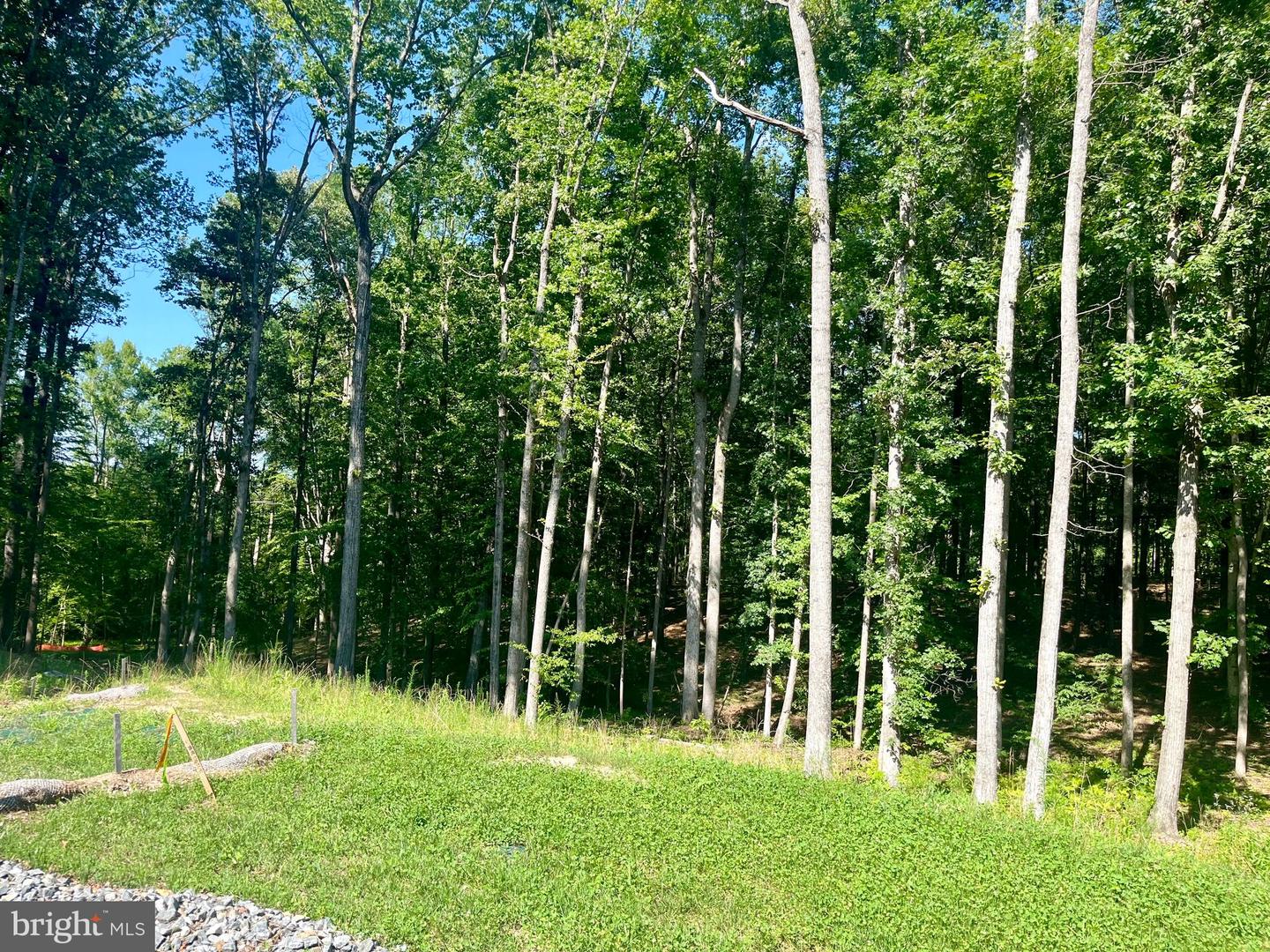 LOT 40 SOUTHERN RIDGE, MINERAL, Virginia 23117, ,Land,For sale,LOT 40 SOUTHERN RIDGE,VALA2008356 MLS # VALA2008356