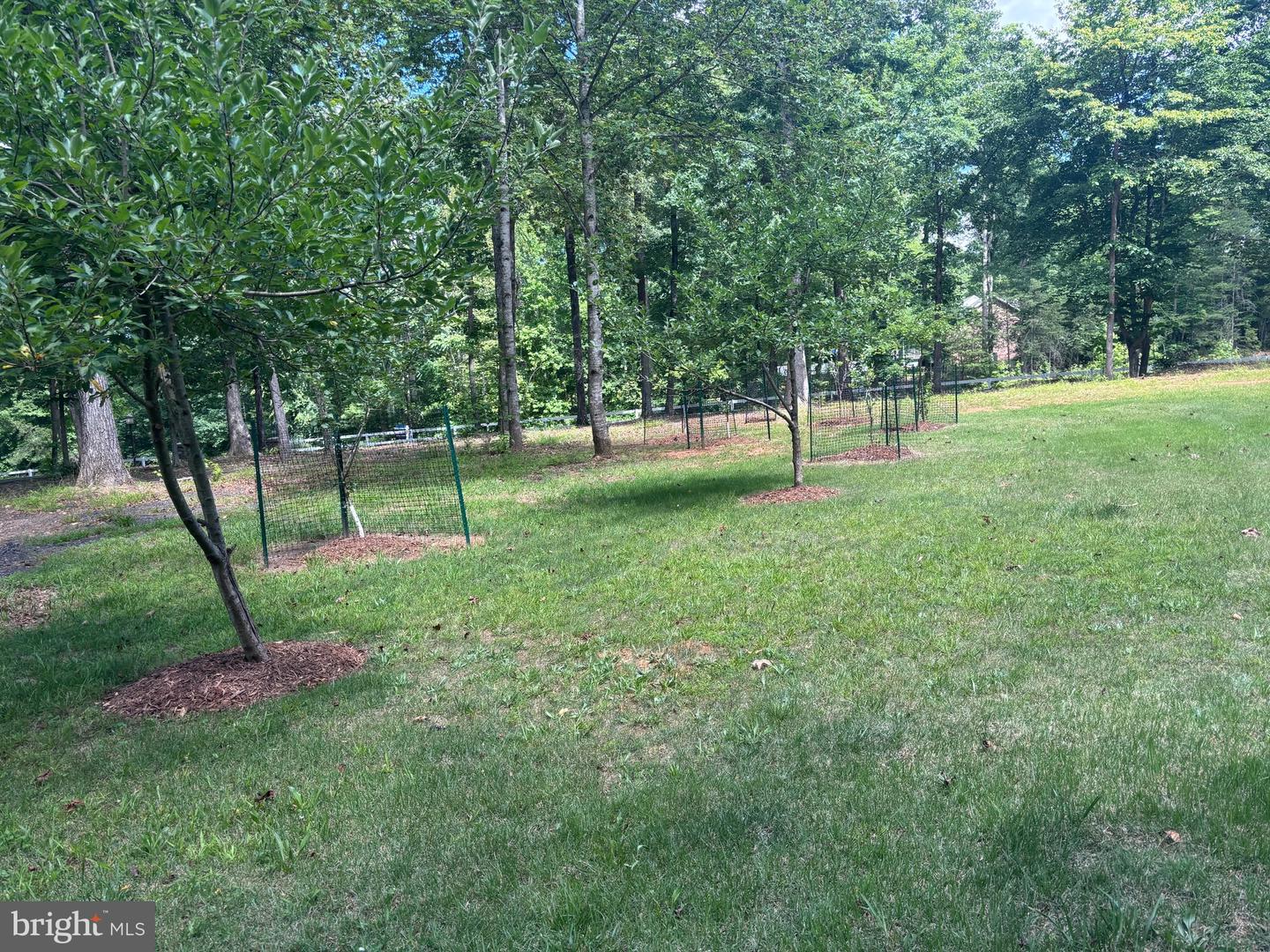14500 RIVER JUNCTION DR, FREDERICKSBURG, Virginia 22407, 5 Bedrooms Bedrooms, ,3 BathroomsBathrooms,Residential,For sale,14500 RIVER JUNCTION DR,VASP2032302 MLS # VASP2032302