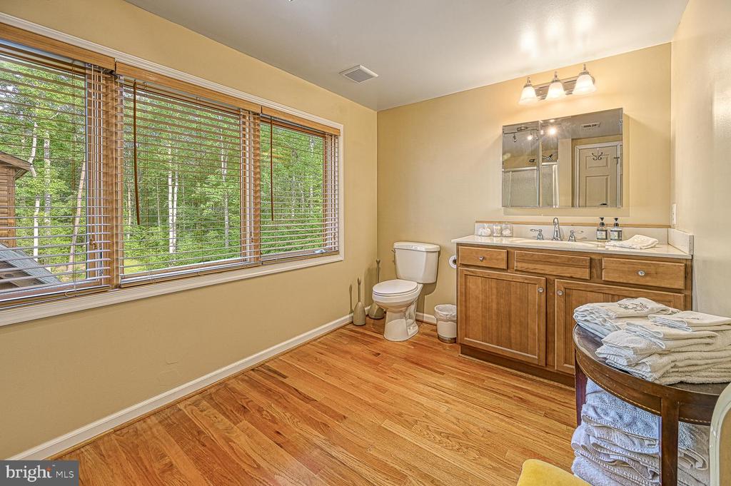 123 SHOREWOOD DR, MINERAL, Virginia 23117, 4 Bedrooms Bedrooms, ,4 BathroomsBathrooms,Residential,123 SHOREWOOD DR,VALA2008166 MLS # VALA2008166