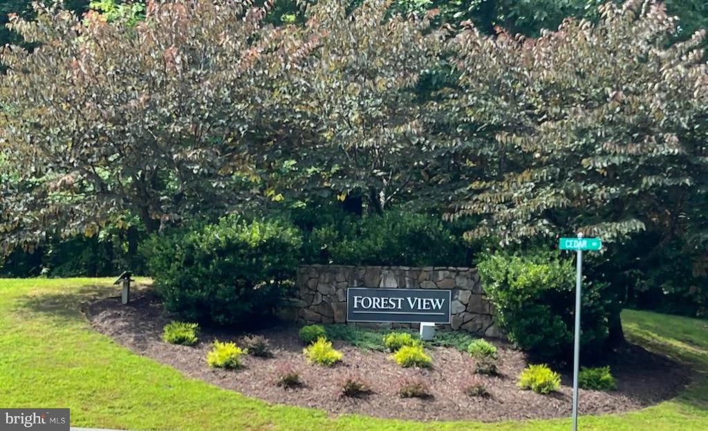 684 PINE CREST DR, TROY, Virginia 22974, 4 Bedrooms Bedrooms, ,2 BathroomsBathrooms,Residential,FV94-Charlotte,684 PINE CREST DR,VALA2008350 MLS # VALA2008350